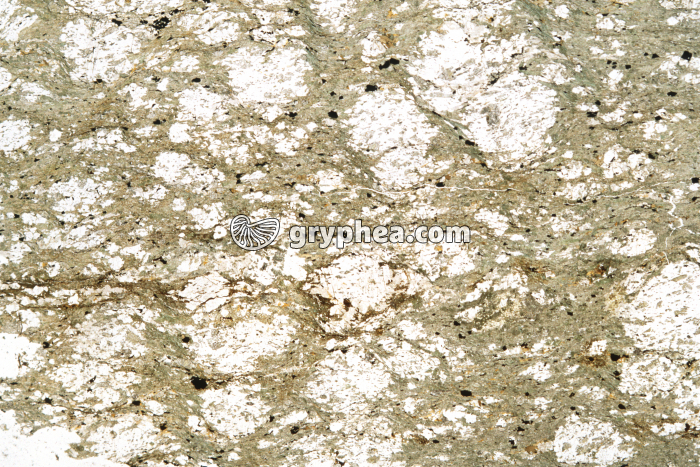 Schiste vert LPNA x1,5 - gryphea.com